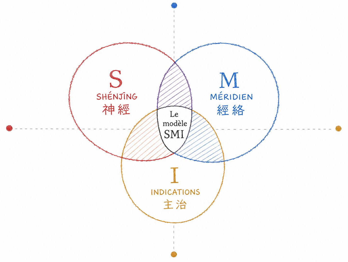 三個圓——神經、經絡、主治——其交集即 SMI 模型。