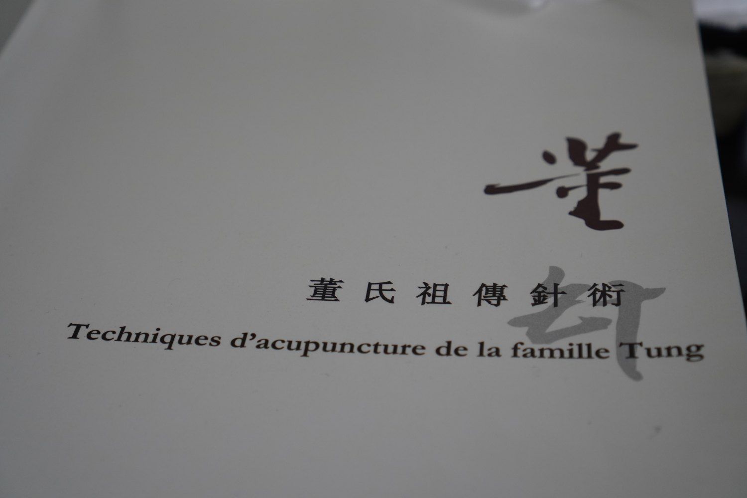Tung Family Acupuncture Technique — the printed edition